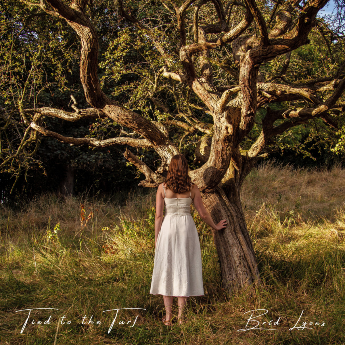 Tied To The Turf cover