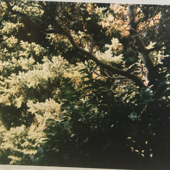 her majesty in end times