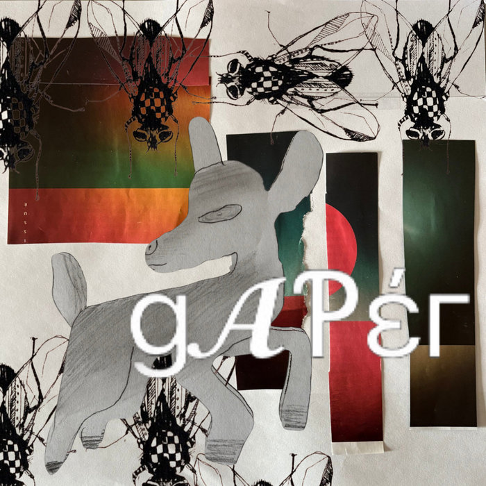 Giaper Gaper | Gaper