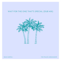 Wait For The One That's Special (Dub Mix) feat. Sean Haefeli cover art