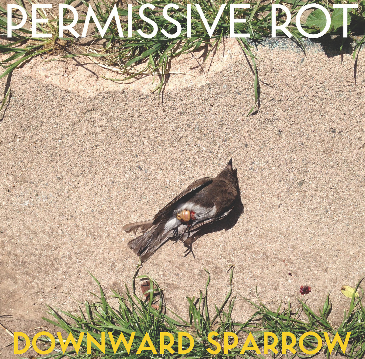 レア盤★Sparrow The Movement★Flows Of Death レア盤☆Sparrow The Movement☆Flows Of Death レア盤☆Sparrow