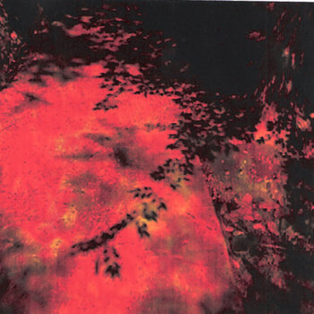 Arise (A Point Of Reference)