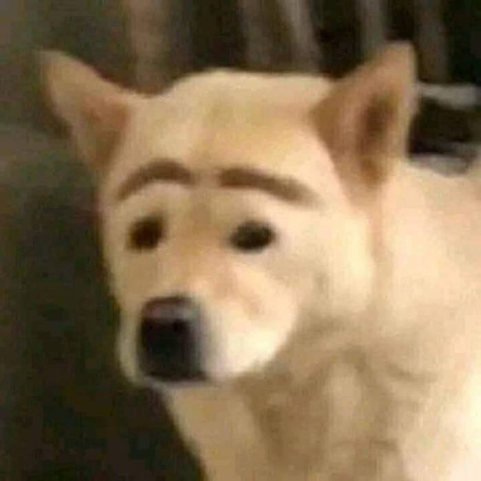 What Da Dawg Doin Opal東京 What Da Dawg Doin Opal東京