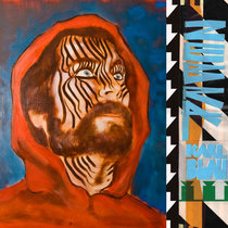 Zebra cover art