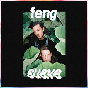 Feng Suave cover