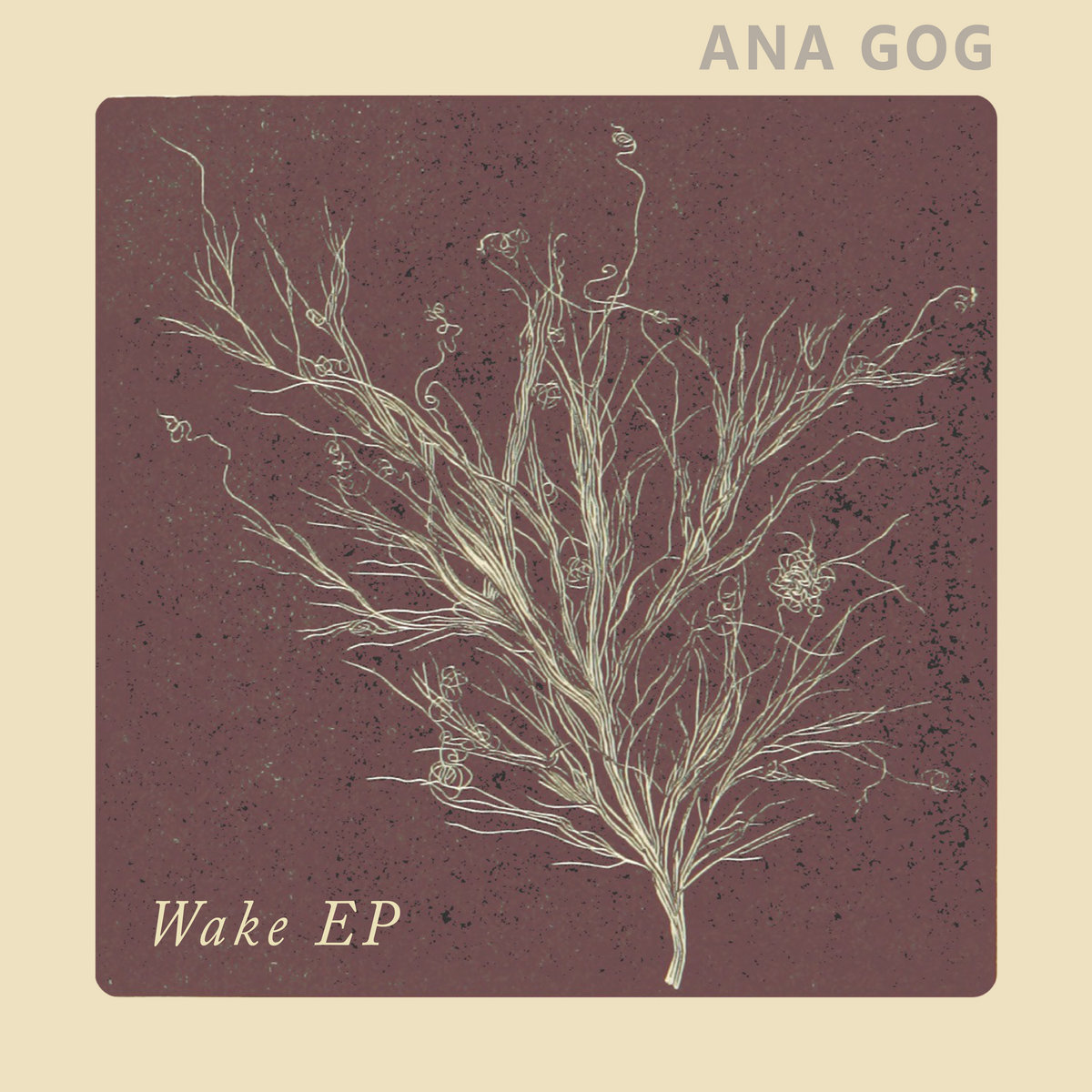 Wake cover