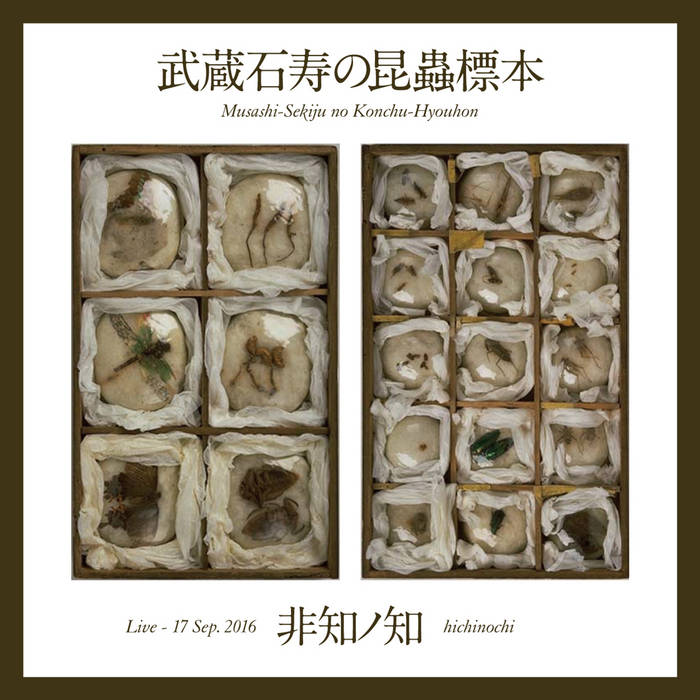 ✨️希少！ アエンデ隕石 標本 アエンデ隕石 標本 ⭐希少！ アエンデ隕石 標本⭐ 美術品