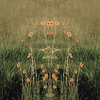 Samsara
