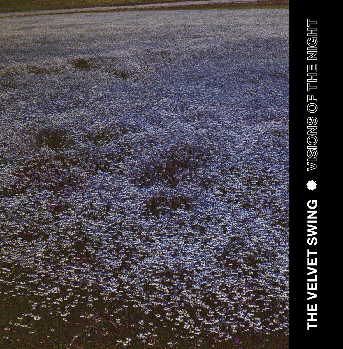 Visions Of The Night (LP) | The Velvet Swing