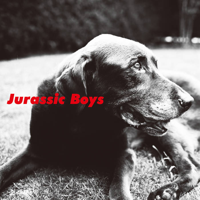 JURASSIC BOYS 自主制作CD 2枚セット 1枚欠け希少 廃盤 Jurassic Boys | Jurassic Boys | KiliKiliVilla
