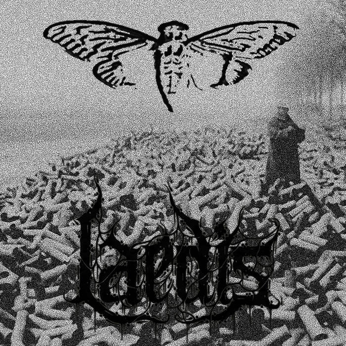 Cicada 3301 / Laedis | Cicada 3301 / Laedis | CULTUS