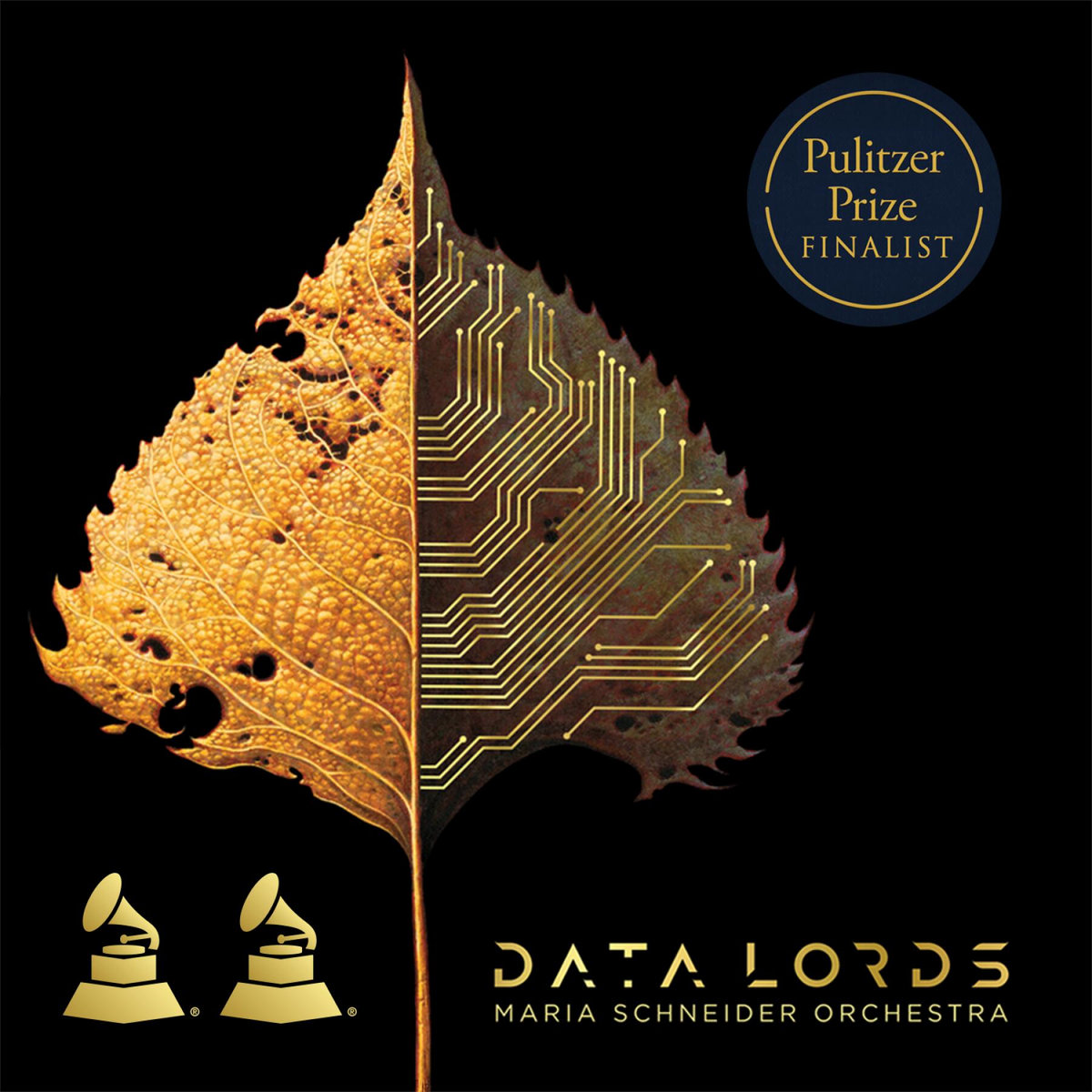 Data Lords by Maria Schneider