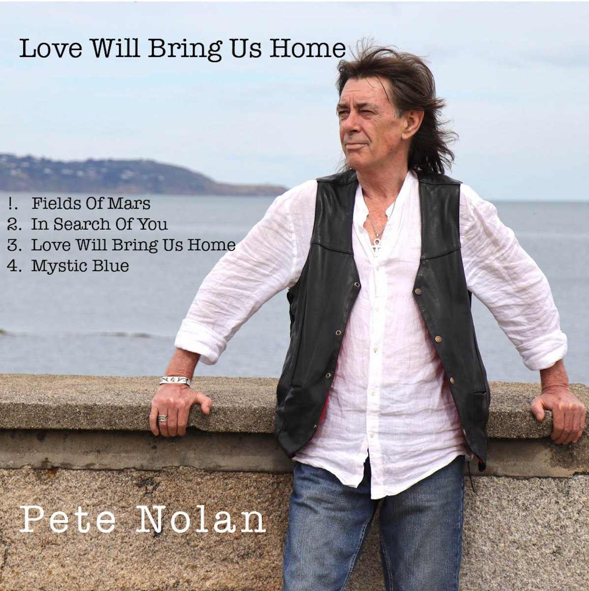 Love Will Bring Us Home cover