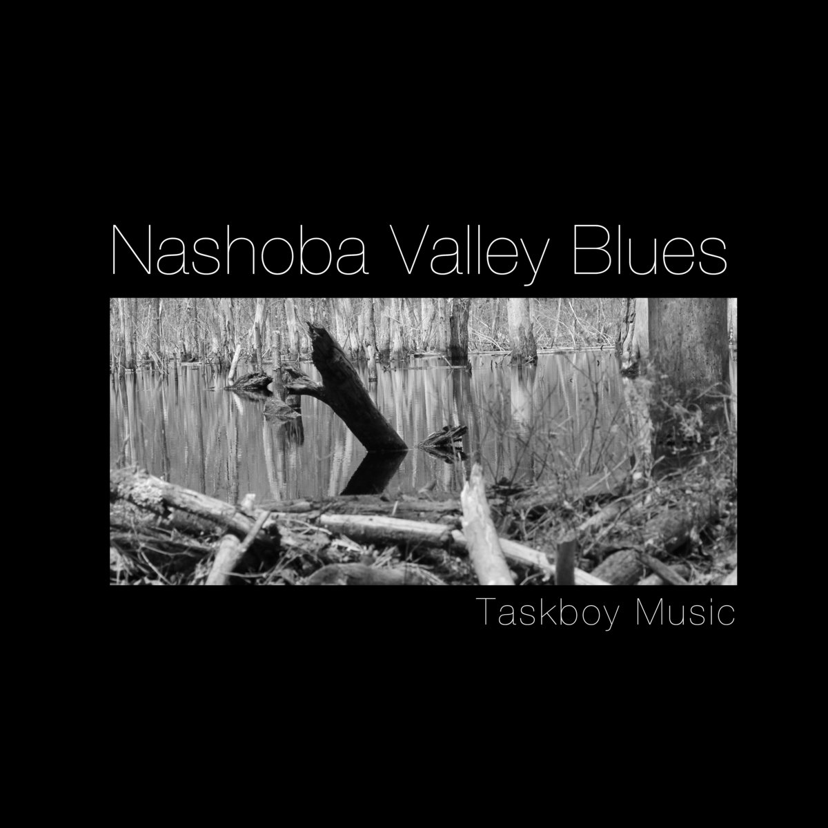 Cover art for Nashoba Valley Blues