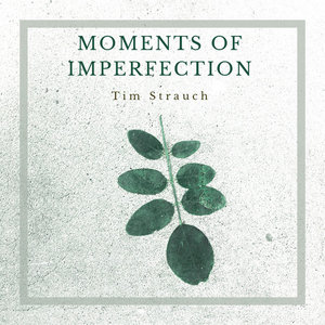 Moments of Imperfection cover