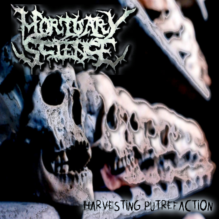 Harvesting Putrefaction Mortuary Science