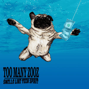 Smells Like Teen SpiritToo Many Zooz cover