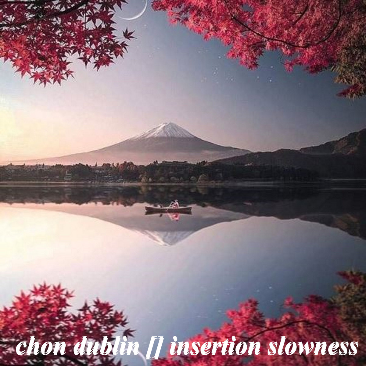 Insertion Slowness cover