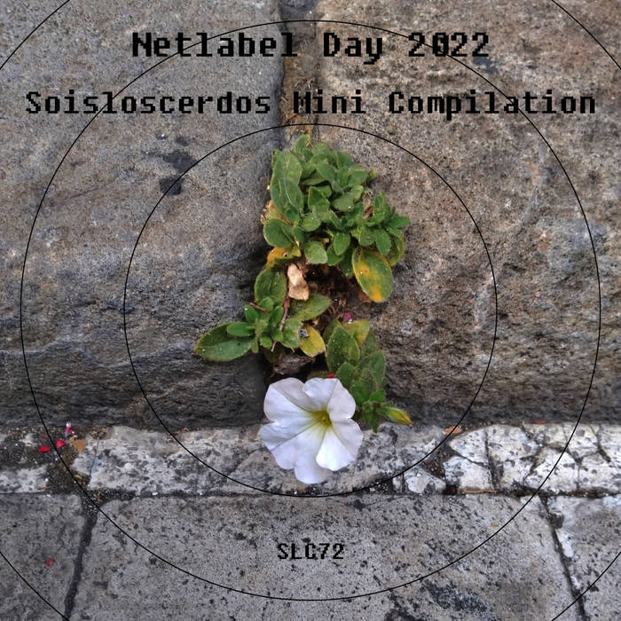 VV.AA. – Soisloscerdos Mini Compilation Netlabel Day 2022