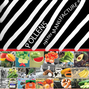 mister manufacture cover