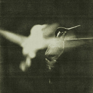 Wings of Desire — The Way You Feel