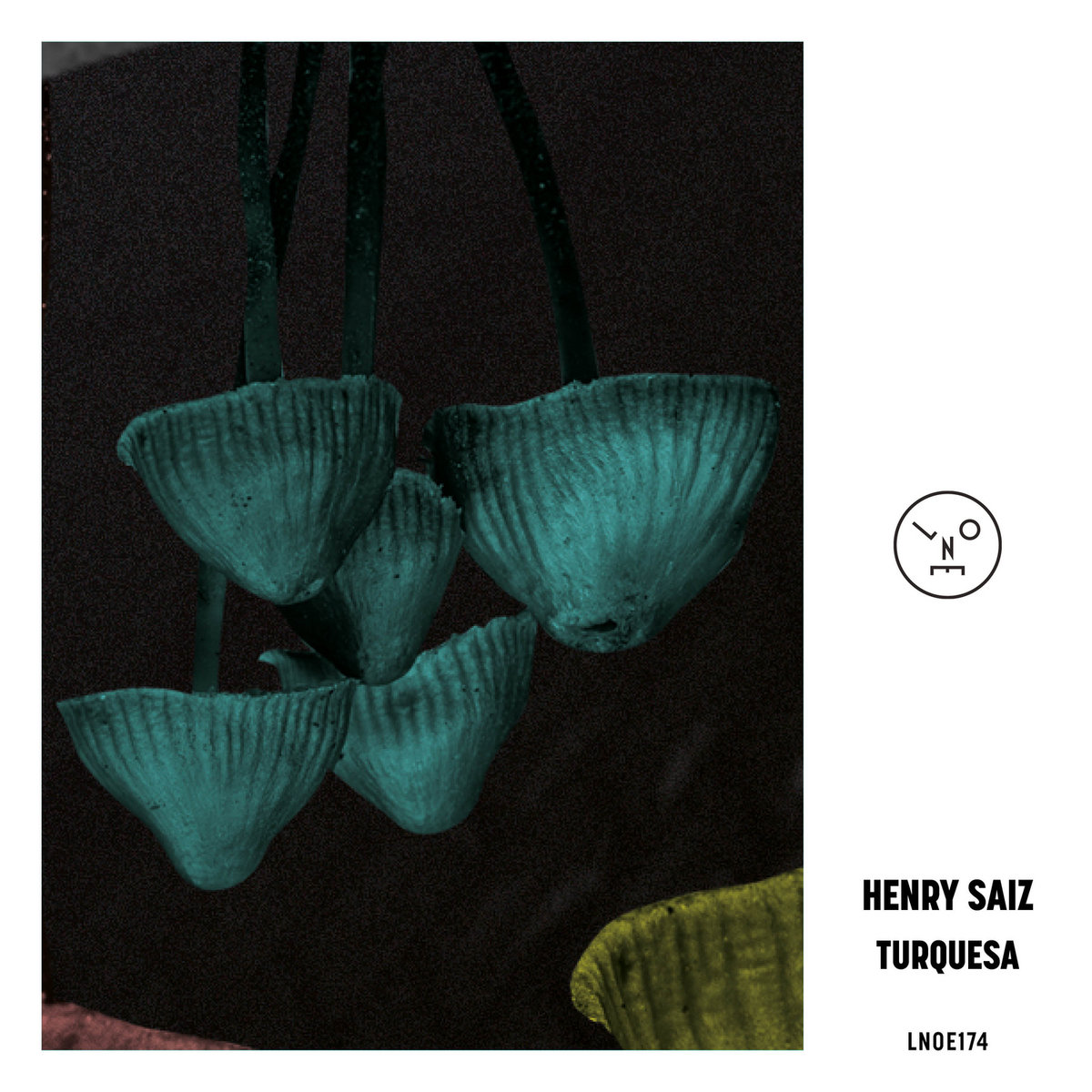 Turquesa | Henry Saiz