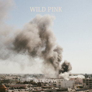 Wild Pink — Q. Degraw