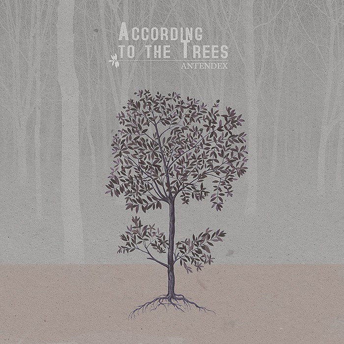 Музыкальный альбом с деревом. Jermook - Songs from the Trees (2009).