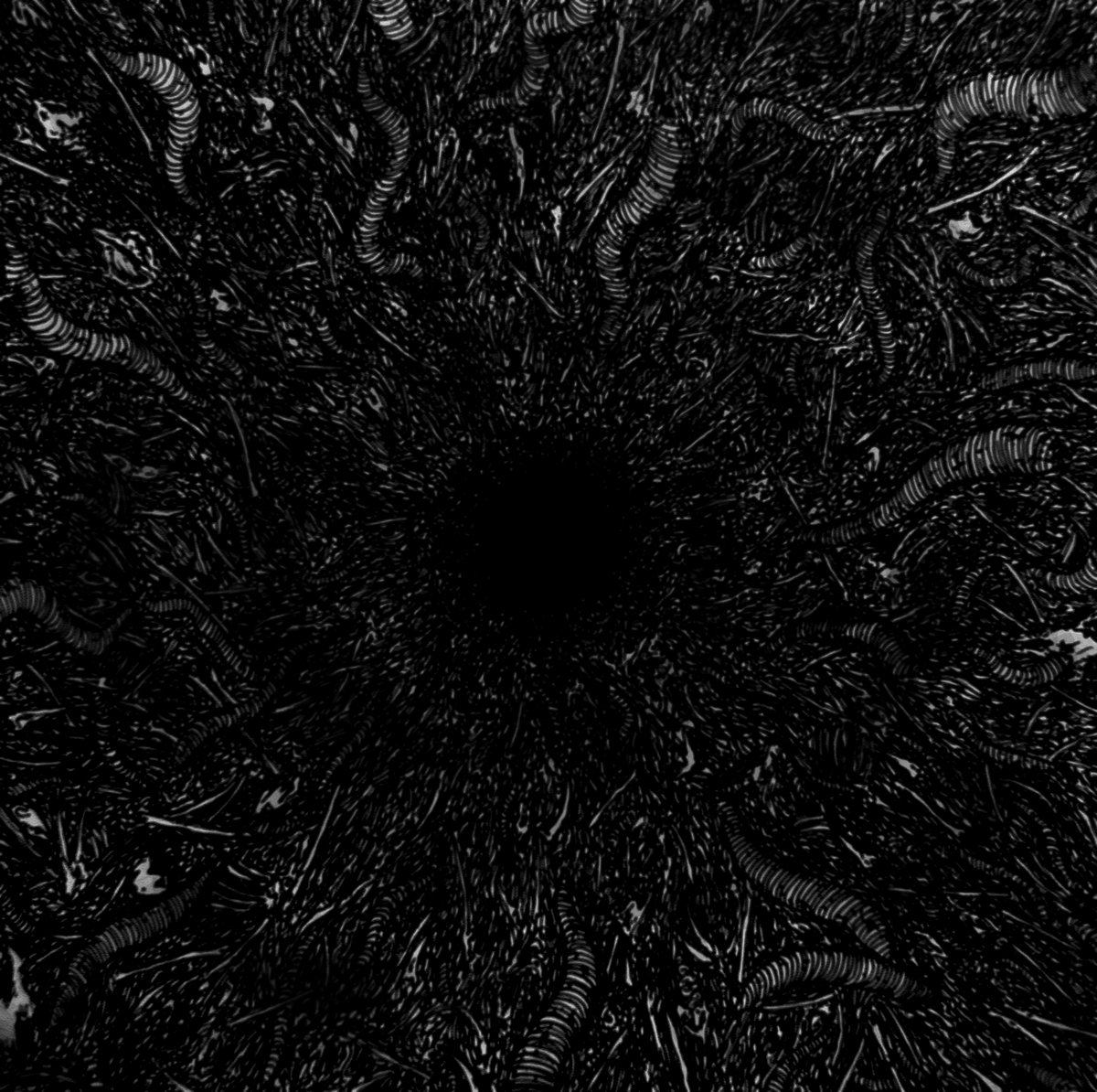 Seeds Ov Hell Plamen Plamen