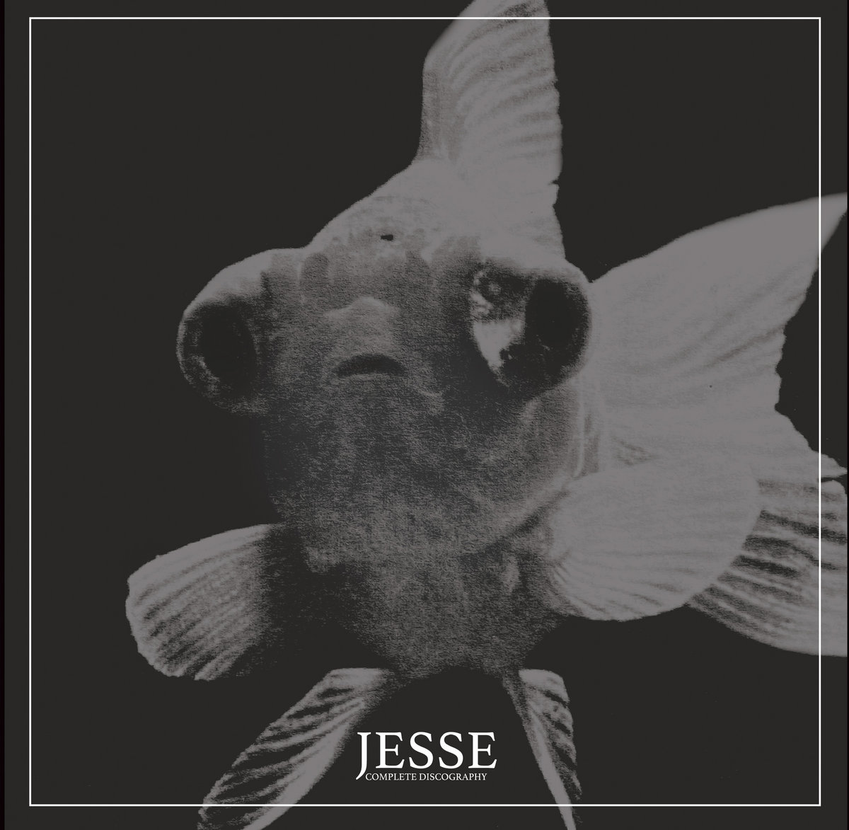 Complete Discography | Jesse | Rad Girlfriend Records