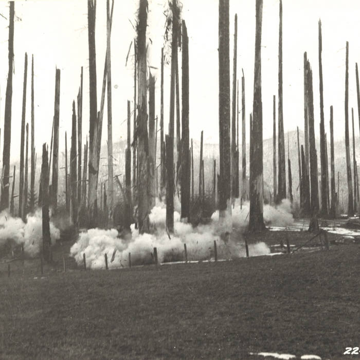 Eltanin Antenna Land & Buildings