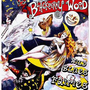 Wild Blues Fairies cover