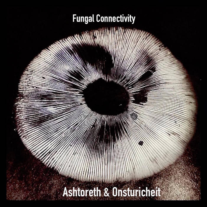 Fungal Connectivity | ASHTORETH & ONSTURICHEIT | ASHTORETH