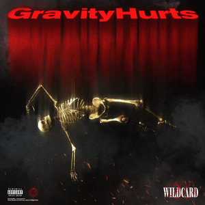 GravityHurtsWildcard cover