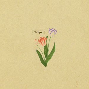 Tulips cover