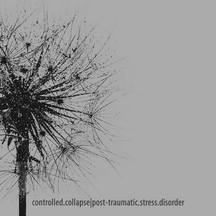 post​-​traumatic​.​stress​.​disorder| | CONTROLLED COLLAPSE