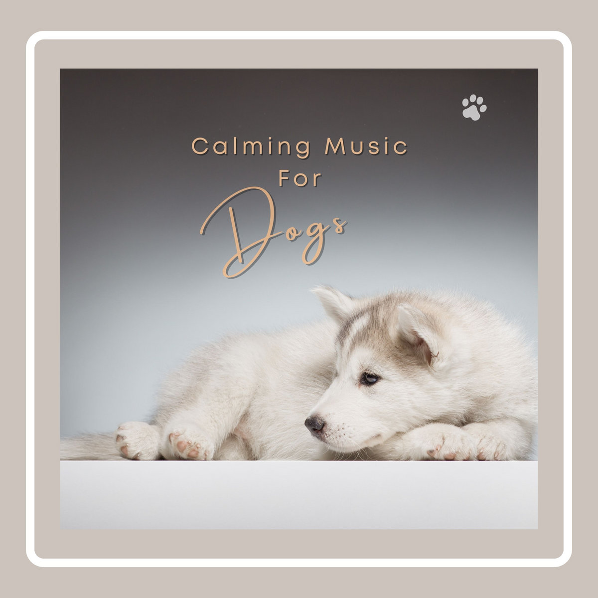 CD Relaxing Music With Dog ソニーミュージック 中古品 CD Relaxing Music With Dog ソニーミュージック 中古品 Amazon.co.jp