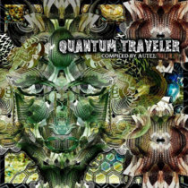 VA QUANTUM TRAVELER cover art