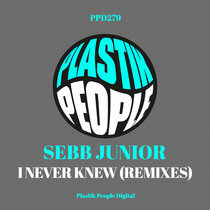 Sebb Junior - I Never Knew (Remixes) cover art