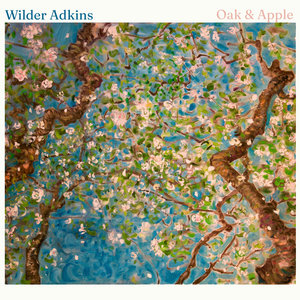 Wilder Adkins - Water to Wine