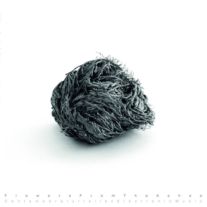 Flowers From The Ashes: [SALP006]