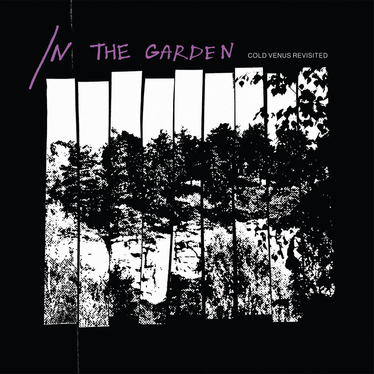 In The Garden | Cold Venus Revisited