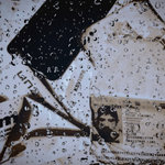 EXPIRED IDs (40 lost demos)