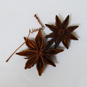 Music | Susumu Yokota