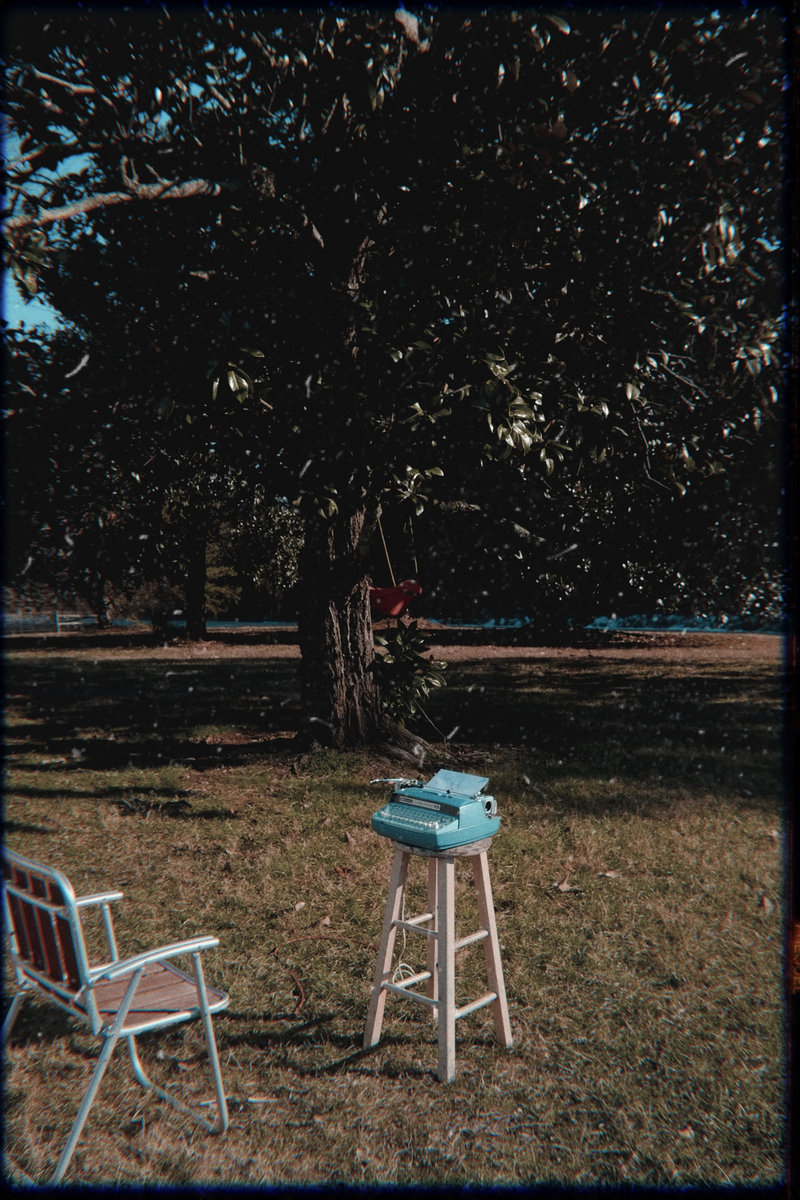 Snottaynose & The pink lady apple house VOL 1 The pink lady apple house / Snottaynose The