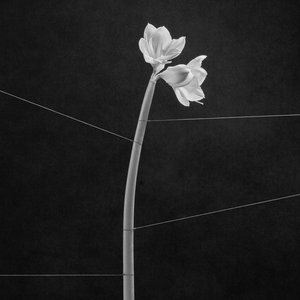 Trentemøller — Dreamweaver