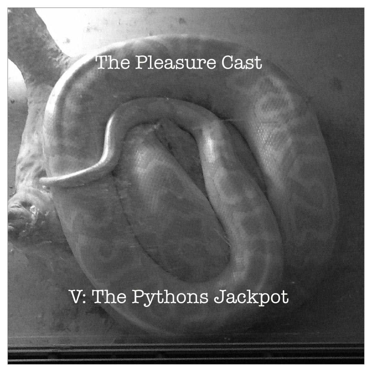 V: The Pythons Jackpot cover