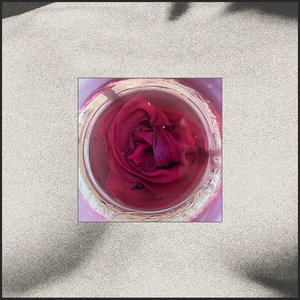 Undo (Your Body) cover