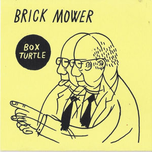 Box Turtle flexi 7'' (free download) cover