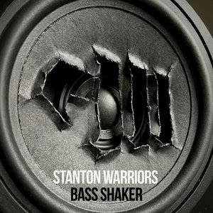 Bass Shaker cover
